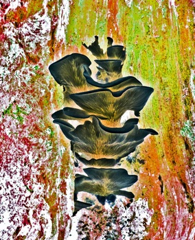 N 094B